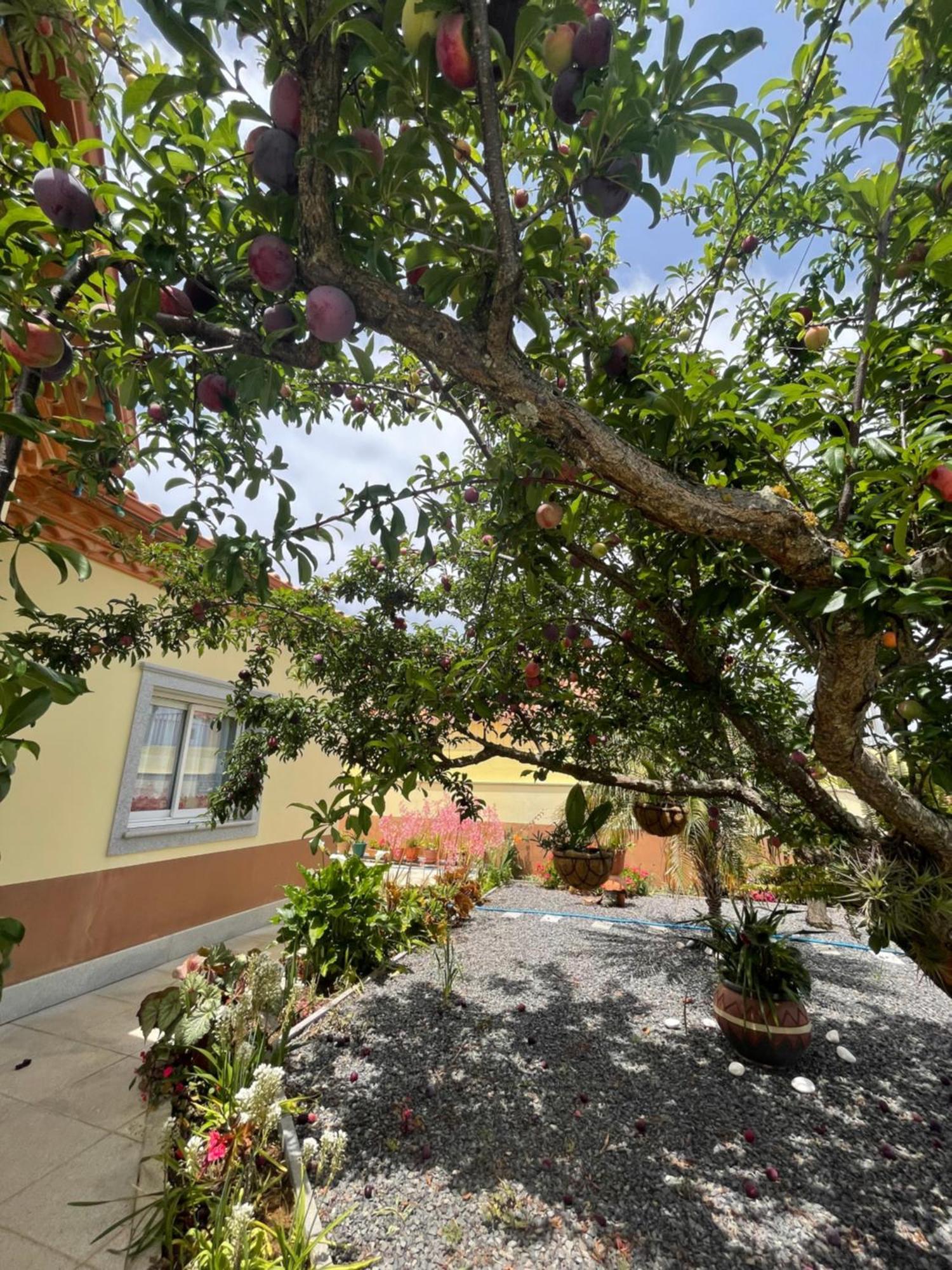 Belle Vue Hotel São Jorge Kültér fotó